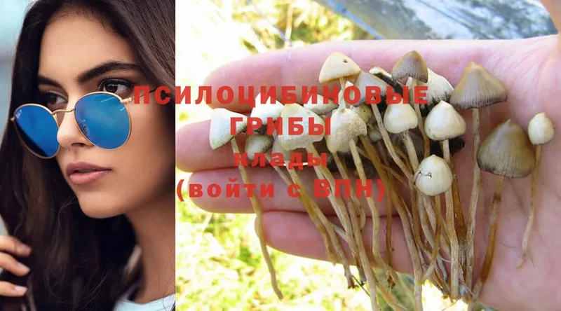 Галлюциногенные грибы MAGIC MUSHROOMS  сайты даркнета телеграм  Иркутск 